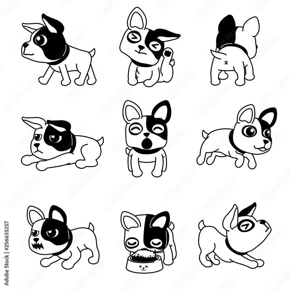 Fototapeta Vector cartoon character cute french bulldog poses for design.