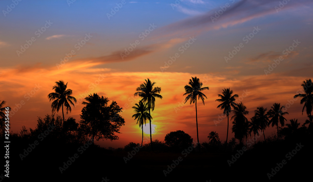 Coconut trees against sun set and bright skies
