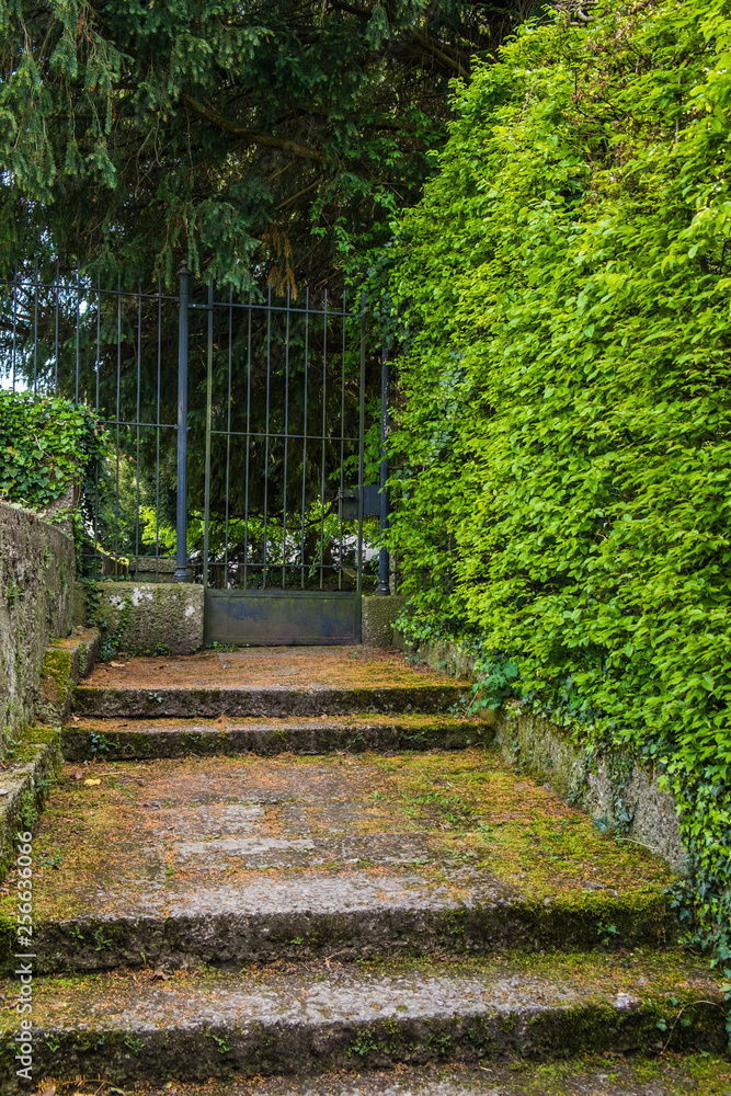 Steel gate and stairs entrance to the garden with leaves wall along the way