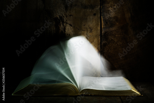 Canvas Print Bible pages motion blurry flipping
