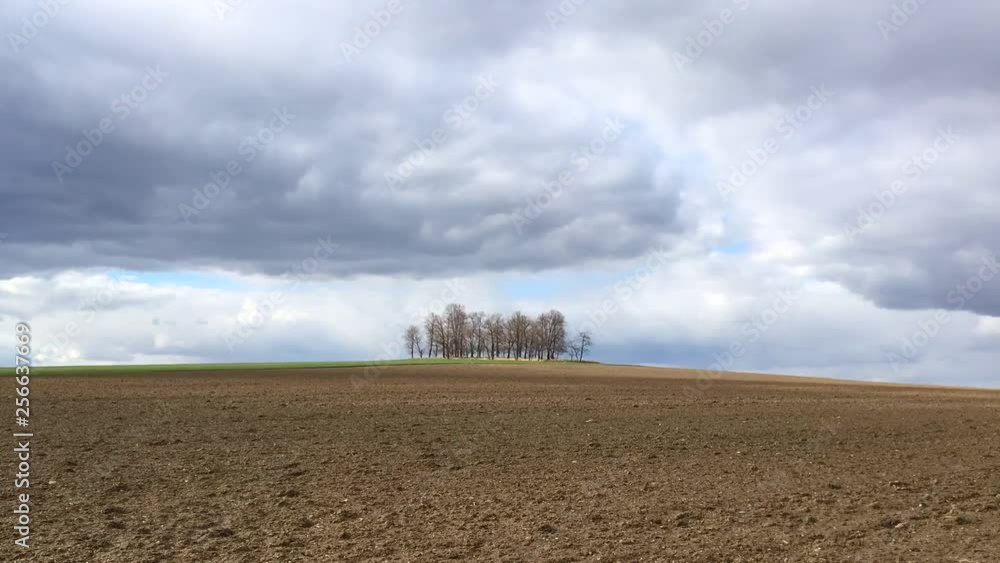 Group of trees on plowed field. Spring landscape and dramatic sky on the empty field. Group of trees on plowed field. Spring landscape and dramatic sky on the empty field.