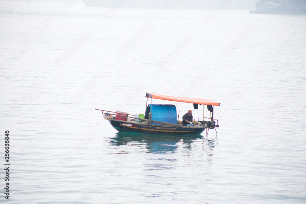 Naklejka premium HALONG