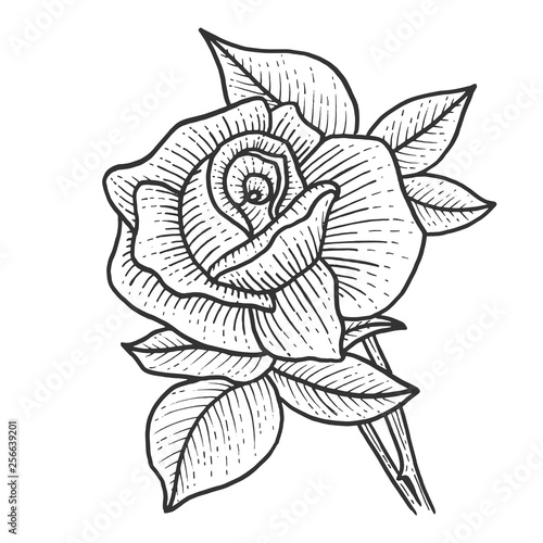 Scratch Art Roses