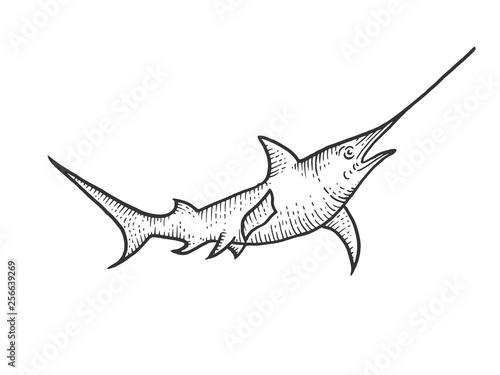 Swordfish sketch engraving vector illustration. Scratch board style imitation. Hand drawn image.