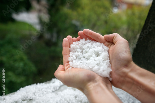 Holding freezing granulated hail ice crystals, grains in hands after strong hailstorm in autumn, fall. First snow in early winter. Cold weather. 