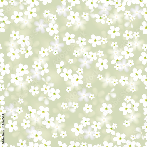 white flower. vector seamless background with chamomile