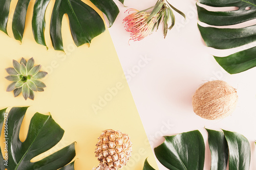 Tropical Monstera leaves on pink and yellow background. Flat lay, top view