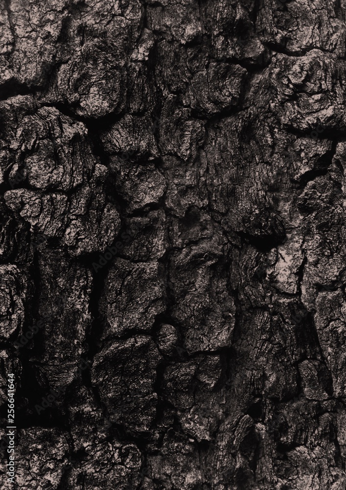 wood and brick background texture wood and brick background texture