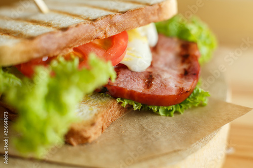 Closeup juicy sandwich with bacon, fresh vegetables, green salad and dark lines after grill