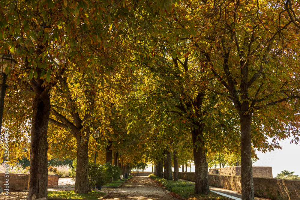 Naklejka premium Siena Perle der Toskana auf der Festung Fortezza Medicea