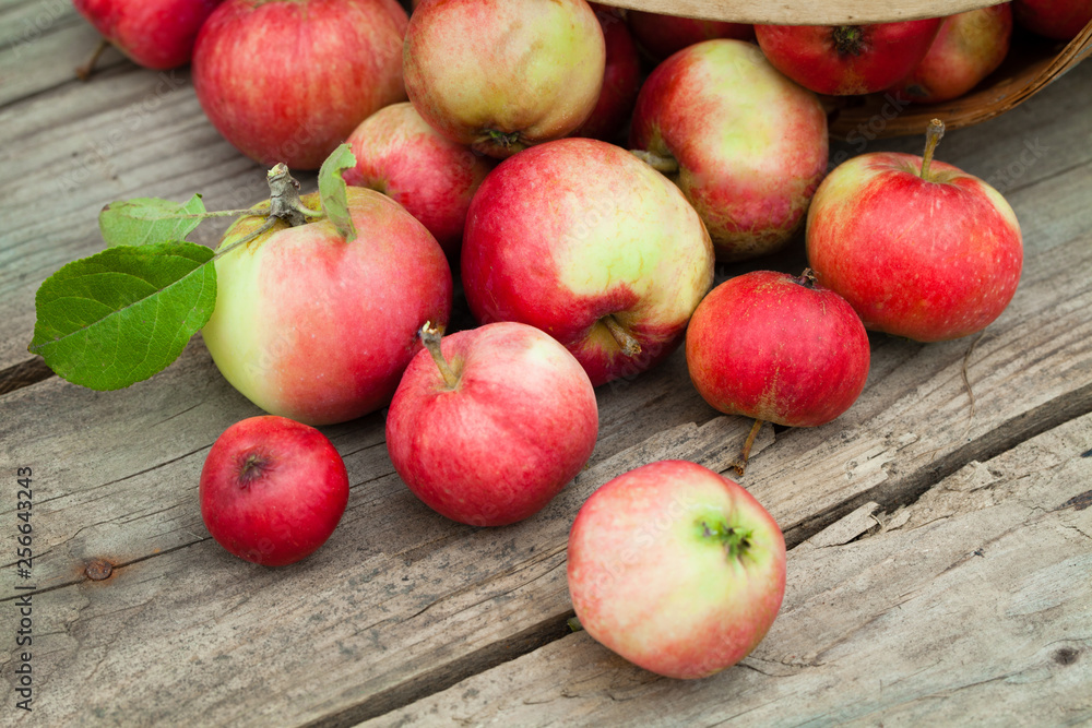 red Apples in pottle on wooden background red Apples in pottle on wooden background