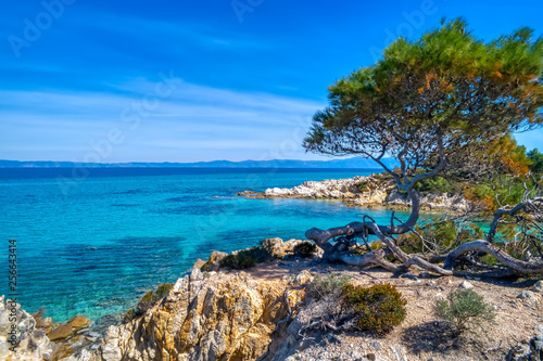 Kavourotrypes or Orange is a small paradise of small beaches located between Armenistis and Platanitsi in Sithonia, Chalkidiki, Greece photo