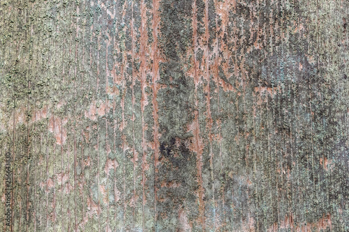 Green and Reddish Old Wood Texture