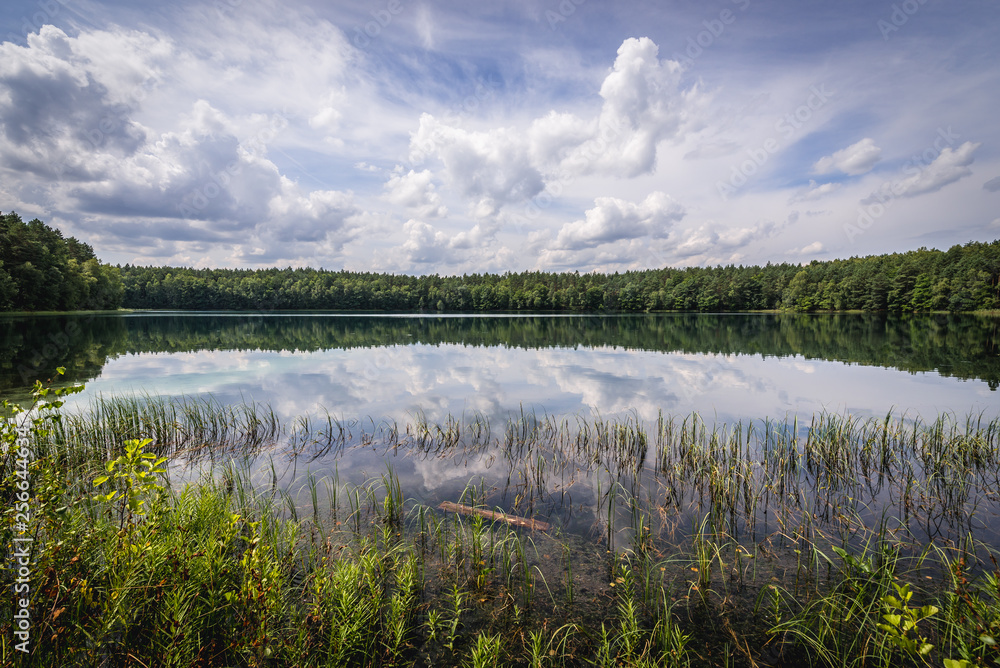 Czyste Lake famous for its clarity in Ilawa lakeland region in Poland Czyste Lake famous for its clarity in Ilawa lakeland region in Poland