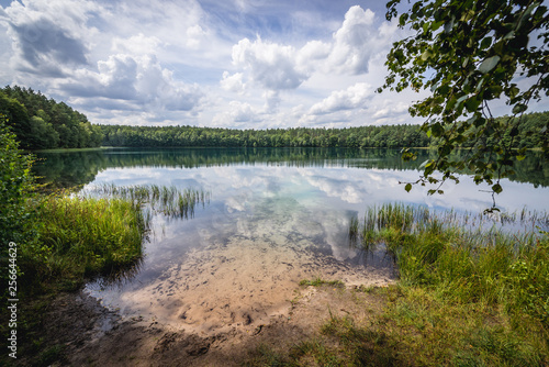 So called Clean Lake or Bright Lake in Ilawa lakeland region, Poland