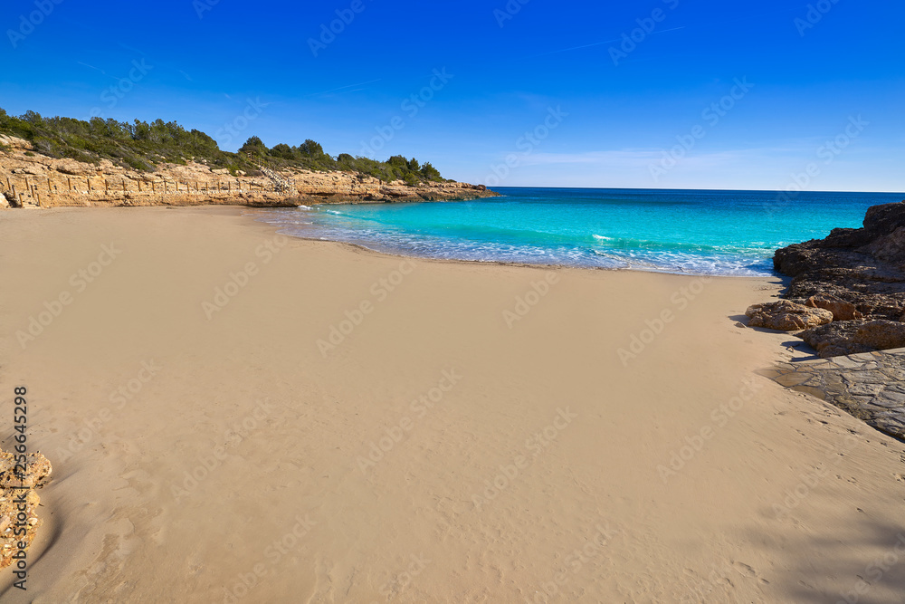 Ametlla L'ametlla de mar Cala Vidre beach