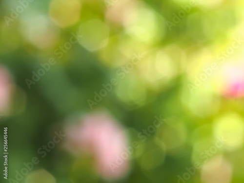 abstract green blur background