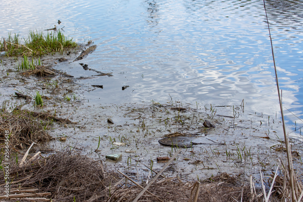 Pollution of the environment, debris and dirt in the pond, lake. Problems of ecology and environmental protection Pollution of the environment, debris and dirt in the pond, lake. Problems of ecology and environmental protection