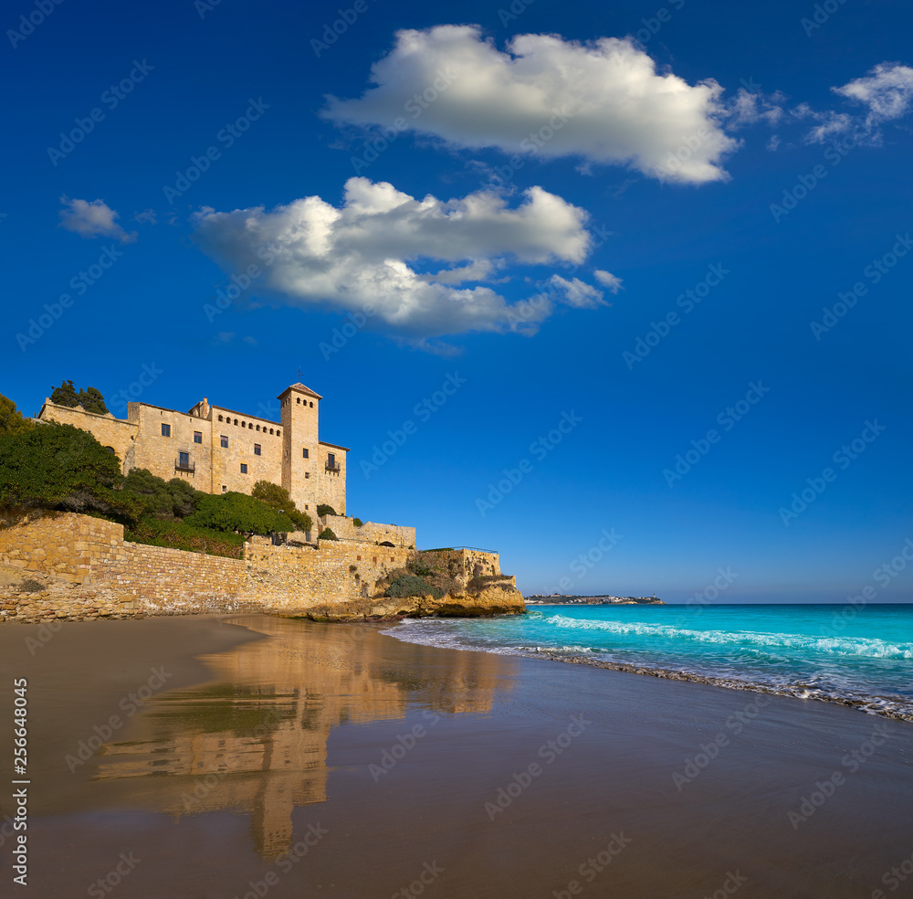 Cala La Jovera beach under Tamarit castle