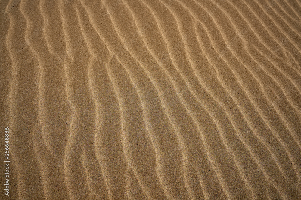 Dunes sand texture in Costa Dorada Dunes sand texture in Costa Dorada