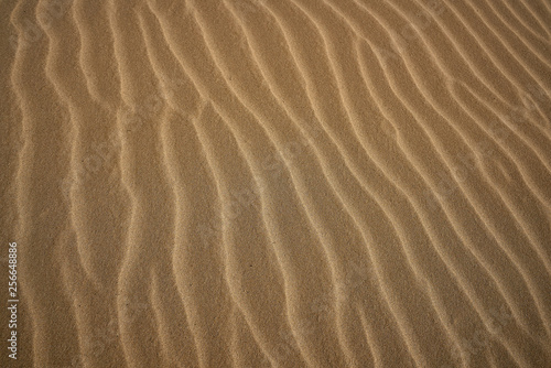 Dunes sand texture in Costa Dorada © lunamarina