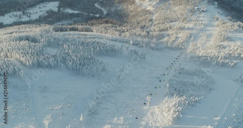 Wallpaper Mural Aerial drone view snowy mountains over white trees in winter  Torontodigital.ca