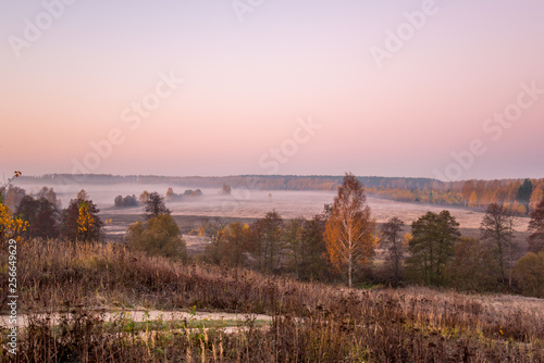 Morning river in forest