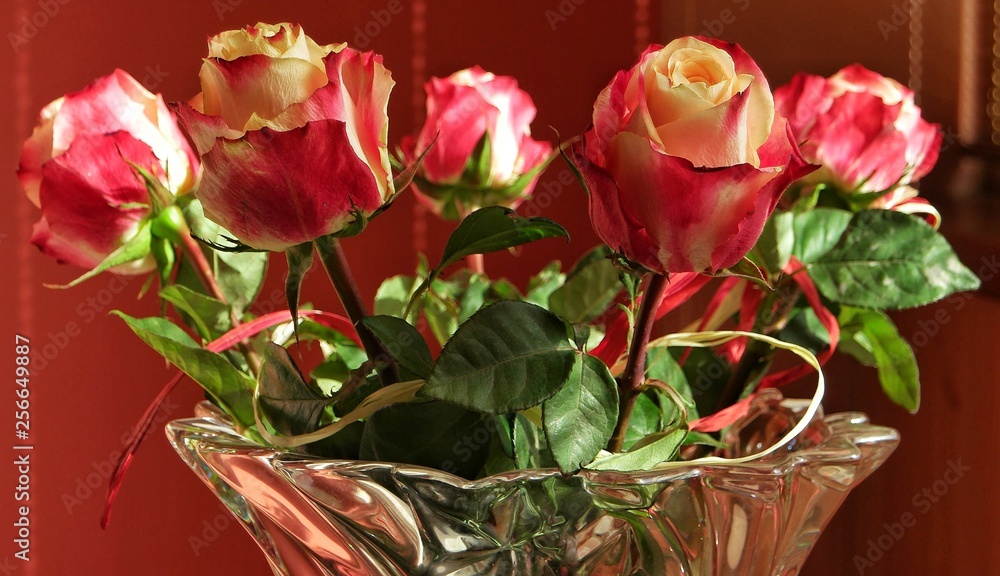 Fototapeta premium Bouquet of roses in a glass vase on red background