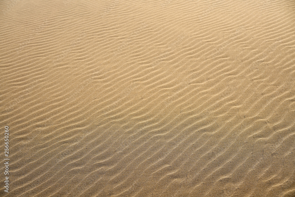 Dunes beach sand texture in Costa Dorada Dunes beach sand texture in Costa Dorada