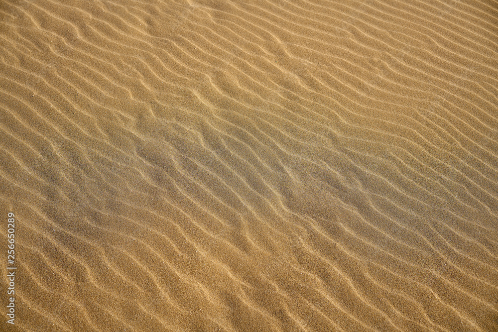 Dunes beach sand texture in Costa Dorada Dunes beach sand texture in Costa Dorada