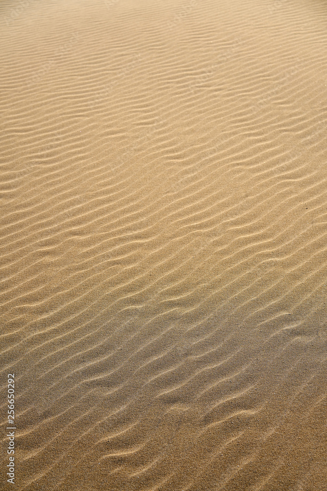 Dunes beach sand texture in Costa Dorada Dunes beach sand texture in Costa Dorada