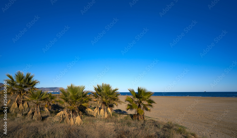 Playa El Pinar beach in Grao de Castellon Playa El Pinar beach in Grao de Castellon
