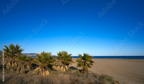 Playa El Pinar beach in Grao de Castellon