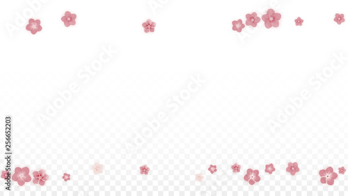 Vector Realistic Pink Flowers Falling on Transparent Background. Spring Romantic Flowers Illustration. Flying Petals. Sakura Spa Design. Blossom Confetti. Design Elements for Wedding Decoration.