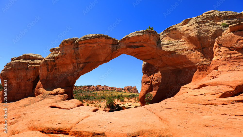Arches national park landscape on a summer day