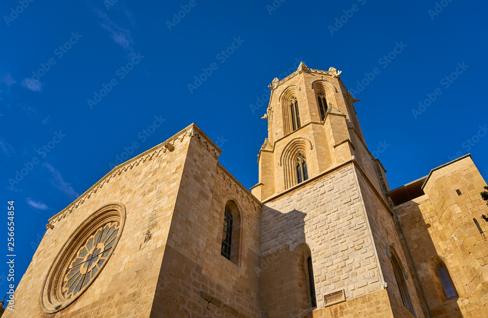 Tarragona Cathedral basilica in Catalonia