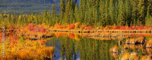Panoramic view of Vermilion lakes landscape in Banff national park