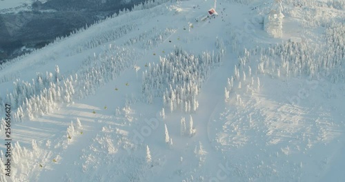 Wallpaper Mural Aerial drone view snowy mountains over white trees in winter  Torontodigital.ca