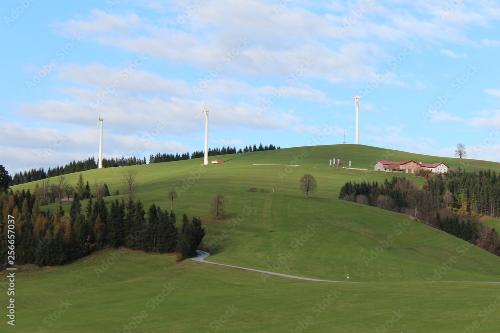 Obraz premium Laussa - Ennstal - Austria