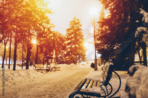 Beautiful snowy evening in the park. Amazing firs in the snow. Golden light bulbs. Romantic mood. Concept of the place you want to get in the winter. Magazine style color