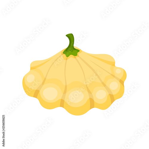 Yellow patisson concept. Vegetarianism and organic food.