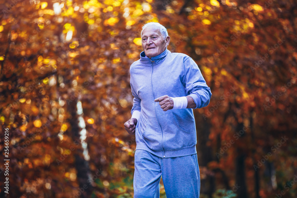 Fototapeta Senior runner in nature. Elderly sporty man running in forest during morning workout. Healthy and active lifestyle at any age concept