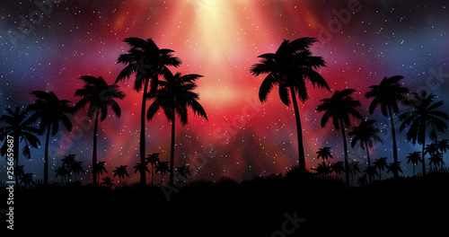 Night landscape with palm t...