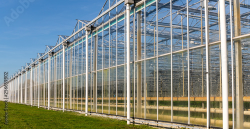 Wallpaper Mural Long Greenhouse Maasdijk Torontodigital.ca