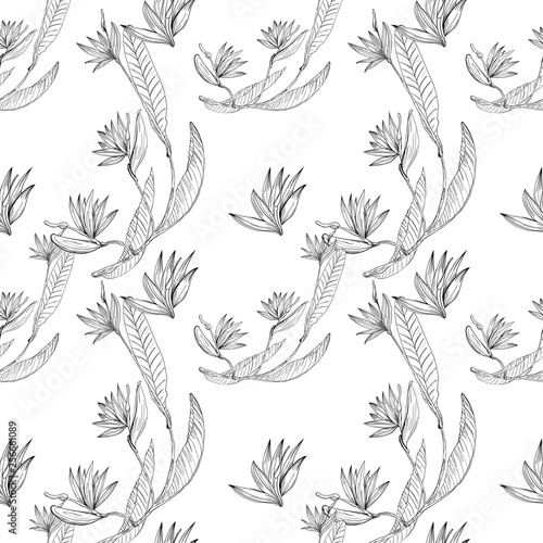Strelizia tropical paradise pattern for print design. Floral seamless Flower background. Trendy spring blossom decoration.