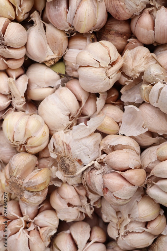garlic at the market