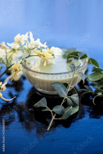 Ayurevidic Paste made from Moringa concanensis Nimmo also known as Kadvo Saragvo, Konkan Moringa in a glass bowl on wooden surface. photo