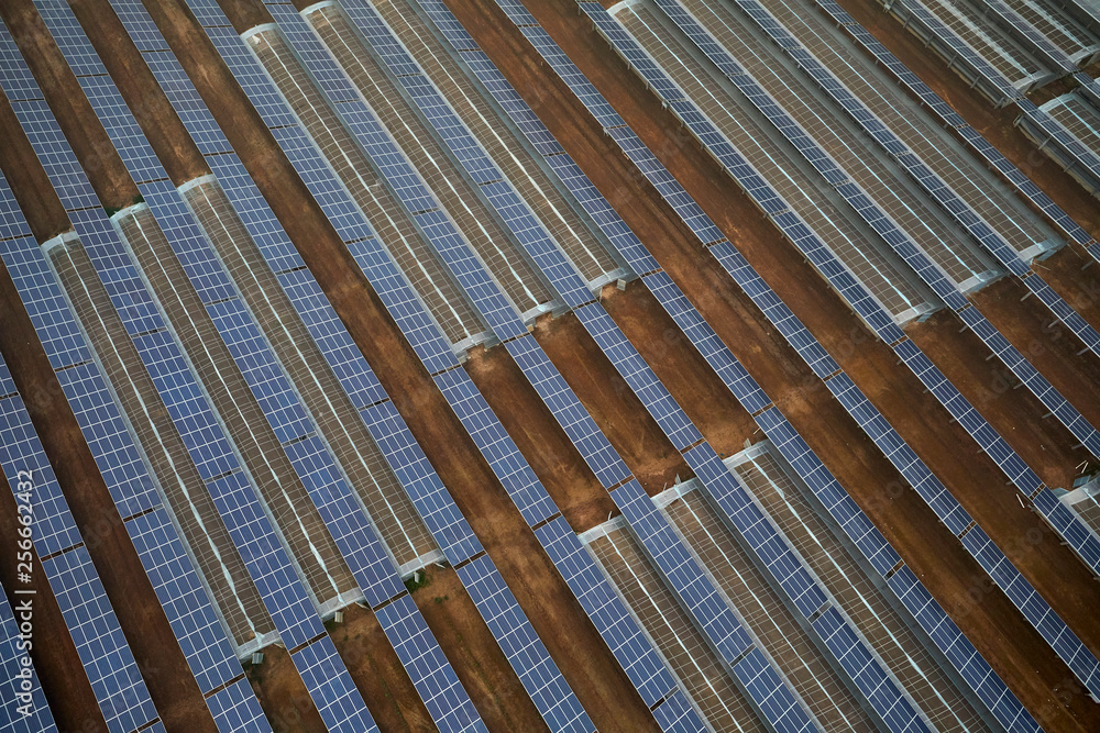 Solar photovoltaic panels installed on top of aerial vegetables greenhouse Solar photovoltaic panels installed on top of aerial vegetables greenhouse