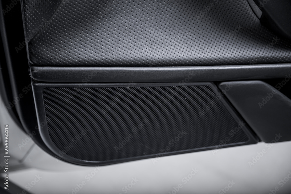 Detail of speaker in sports car Detail of speaker in sports car