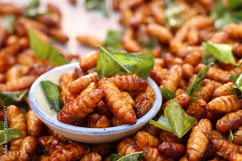 Fried insect at street food © oilslo